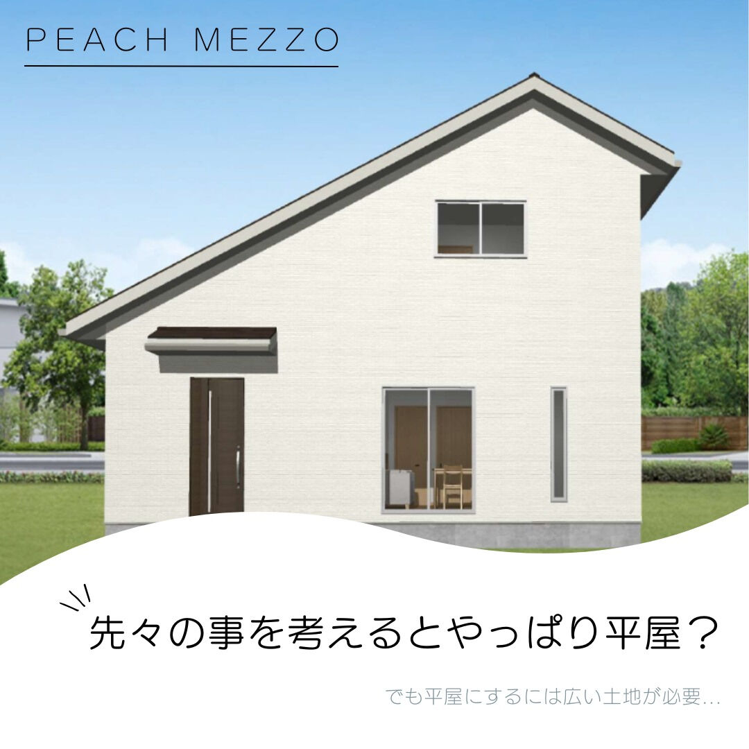 本日はピーチホームの新プラン！ピーチ Mezzo(メッツォ)
