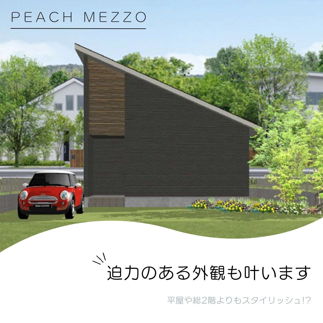 本日はピーチホームの新プラン！ピーチ Mezzo(メッツォ)