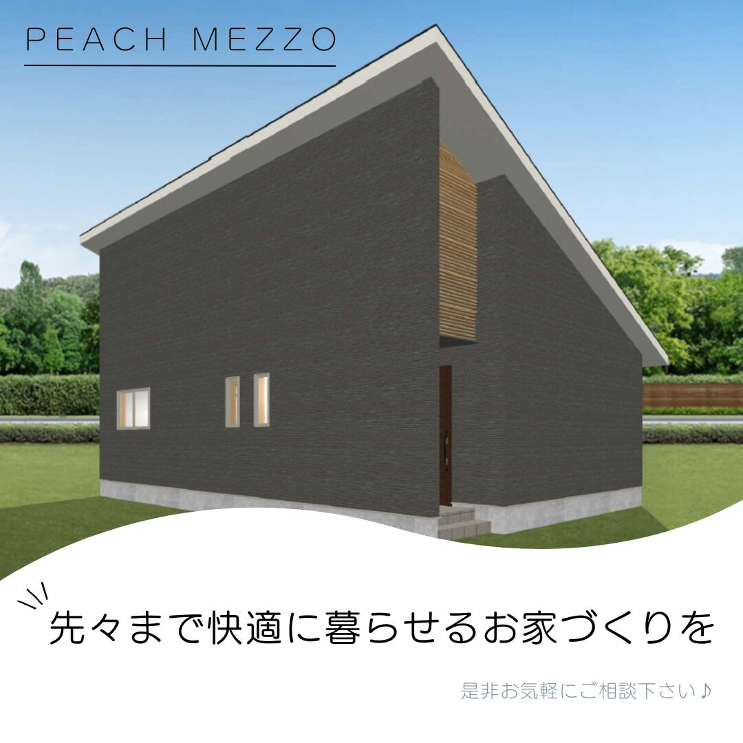 本日はピーチホームの新プラン！ピーチ Mezzo(メッツォ)